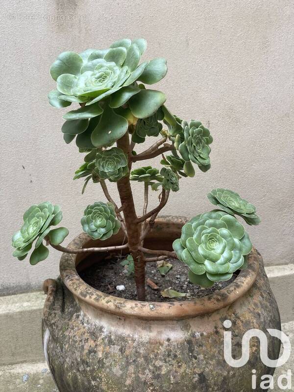 Photo 1 - Terrain à SAINT-SIGISMOND