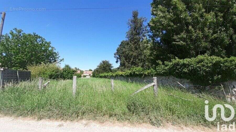 Photo 2 - Terrain à MARLES-EN-BRIE
