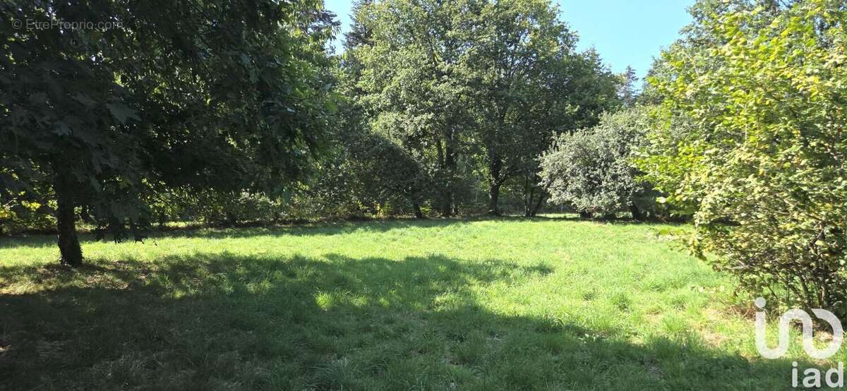 Photo 9 - Maison à SAINT-GRAVE