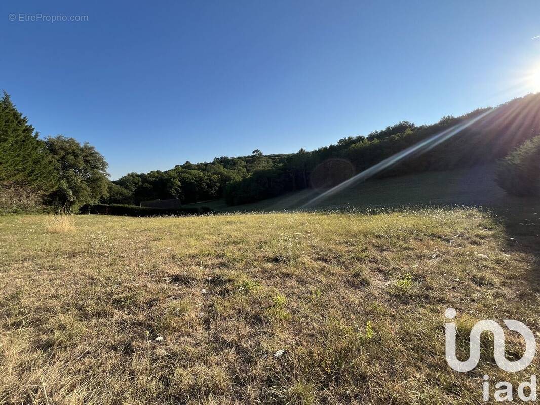 Photo 1 - Terrain à SAINT-VINCENT-LE-PALUEL