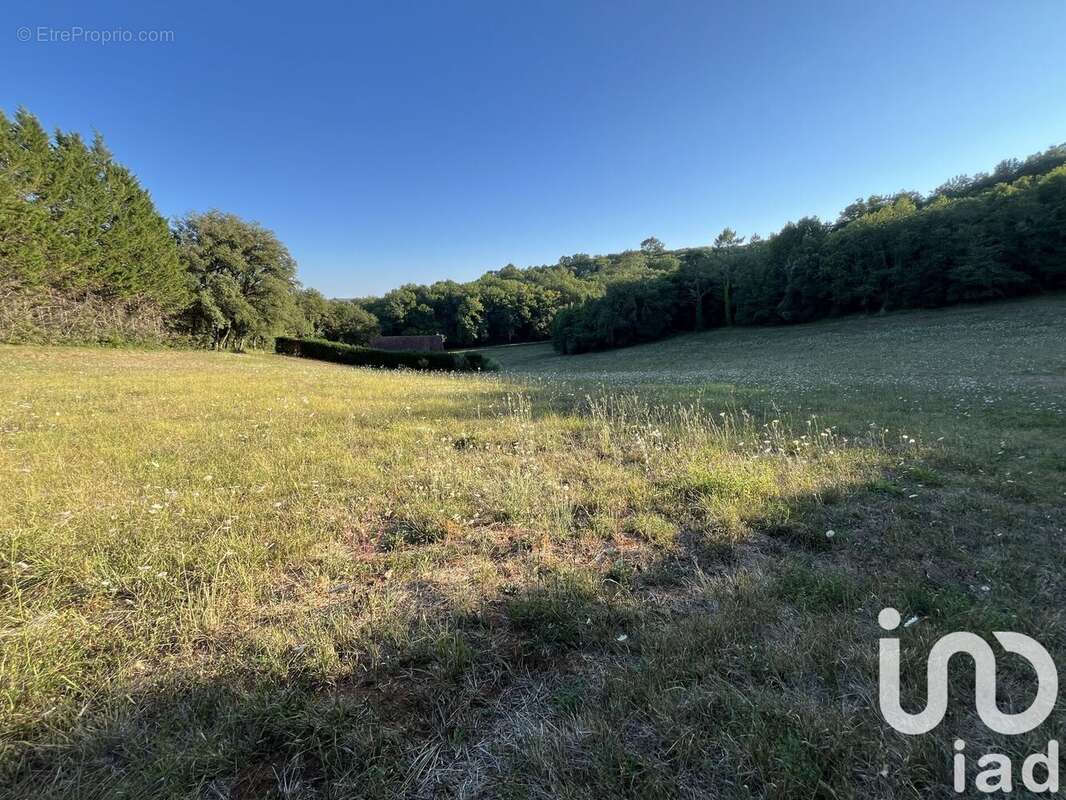 Photo 2 - Terrain à SAINT-VINCENT-LE-PALUEL