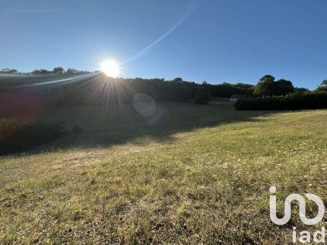 Photo 3 - Terrain à SAINT-VINCENT-LE-PALUEL