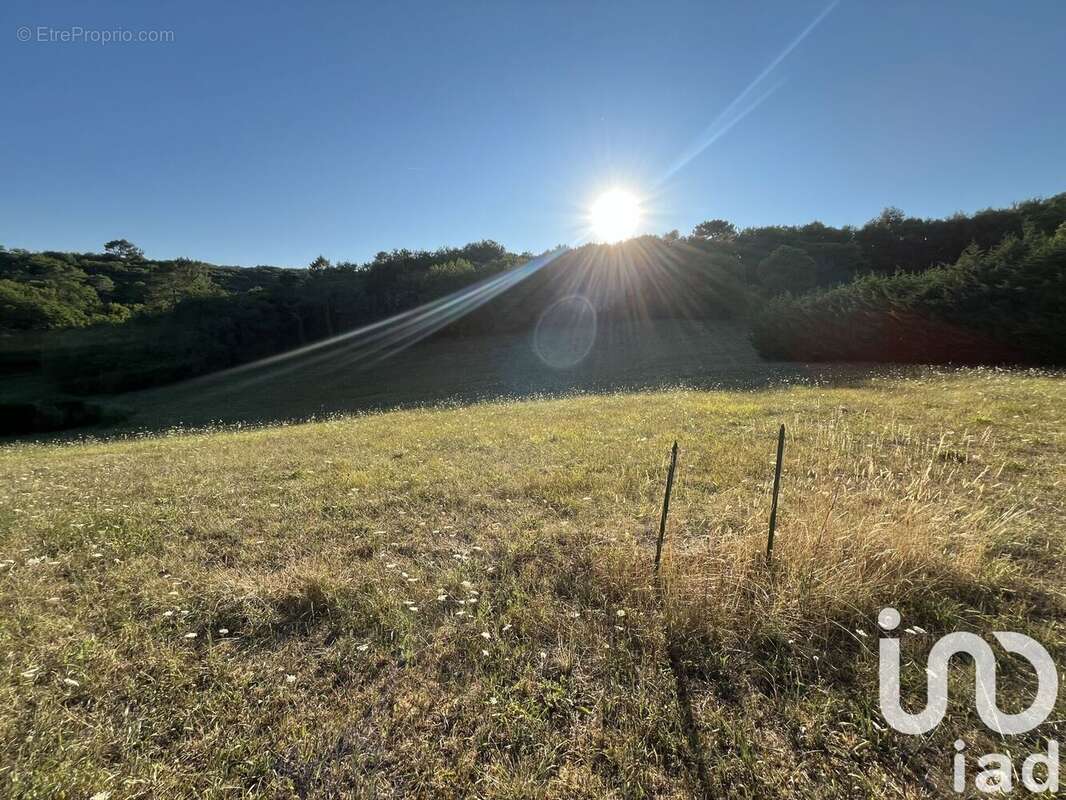 Photo 4 - Terrain à SAINT-VINCENT-LE-PALUEL