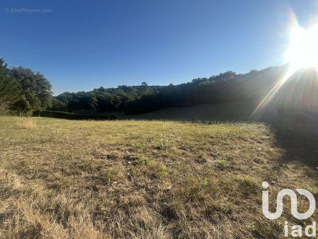 Photo 5 - Terrain à SAINT-VINCENT-LE-PALUEL