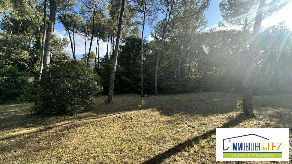 Terrain à MONTFERRIER-SUR-LEZ