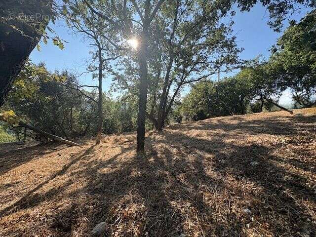 Terrain à BERRE-LES-ALPES
