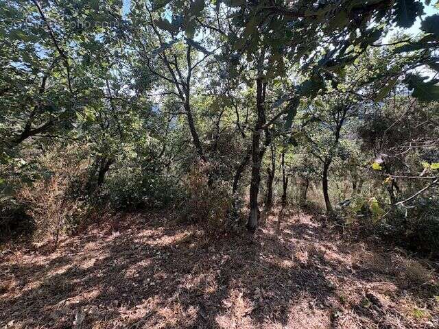 Terrain à BERRE-LES-ALPES