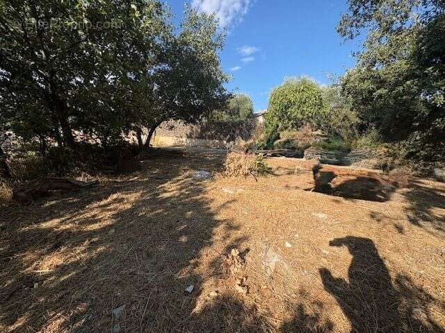 Terrain à BERRE-LES-ALPES
