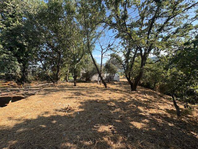Terrain à BERRE-LES-ALPES
