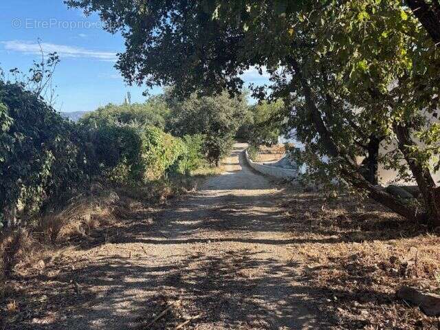 Terrain à BERRE-LES-ALPES