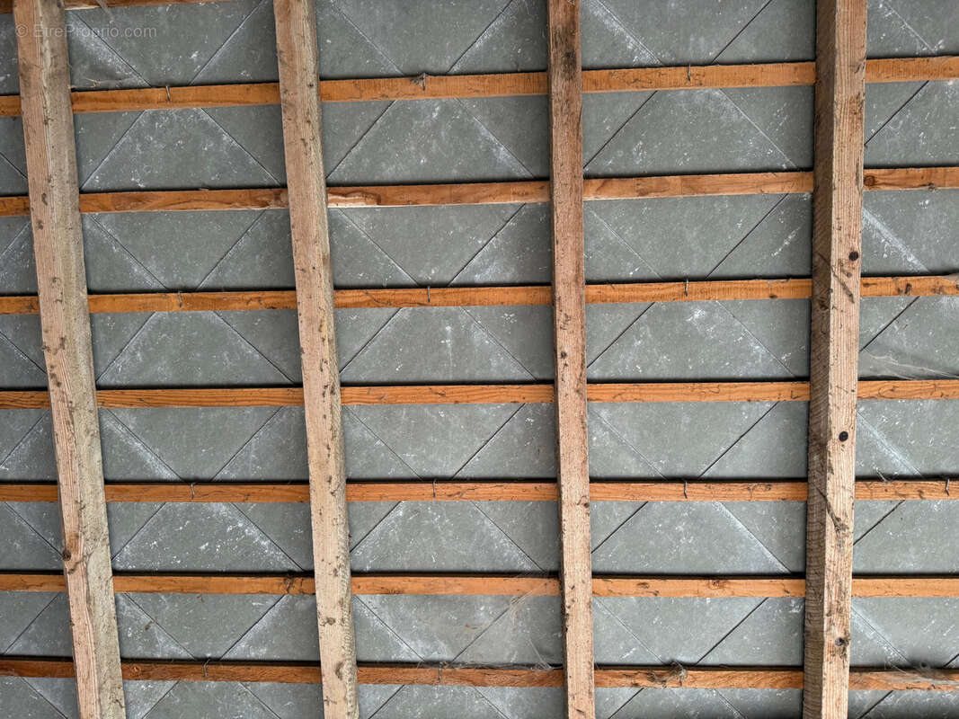 Maison à SAINT-HILAIRE