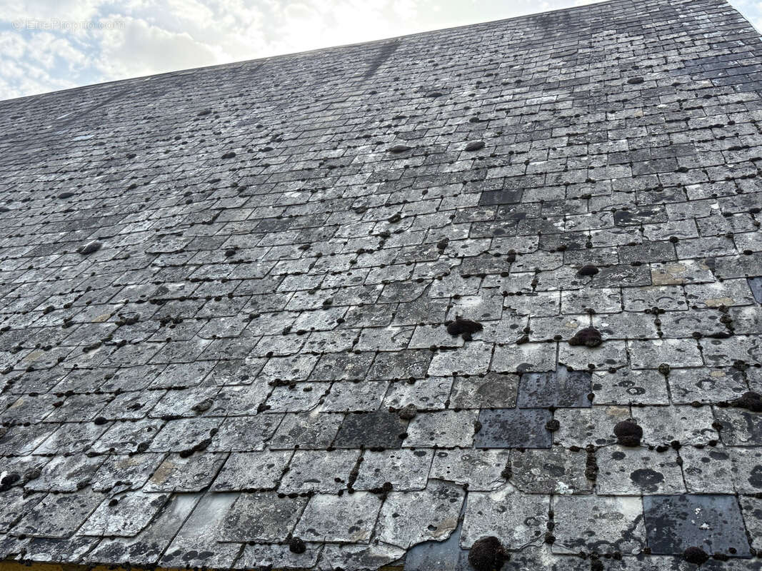 Maison à SAINT-HILAIRE