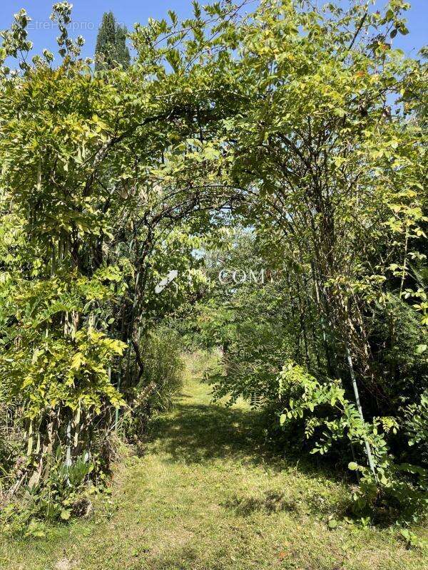 Maison à DRUSENHEIM