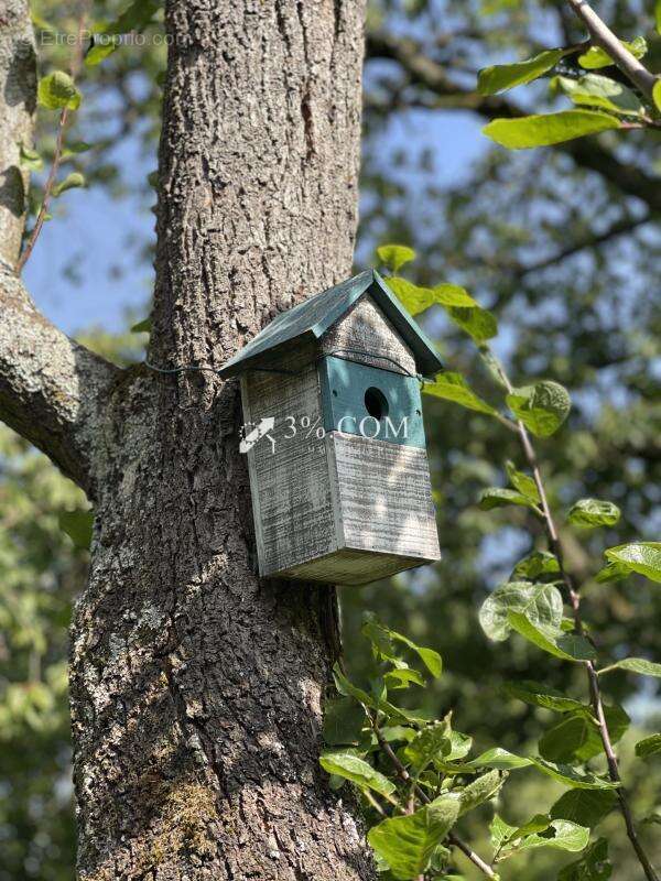 Maison à DRUSENHEIM