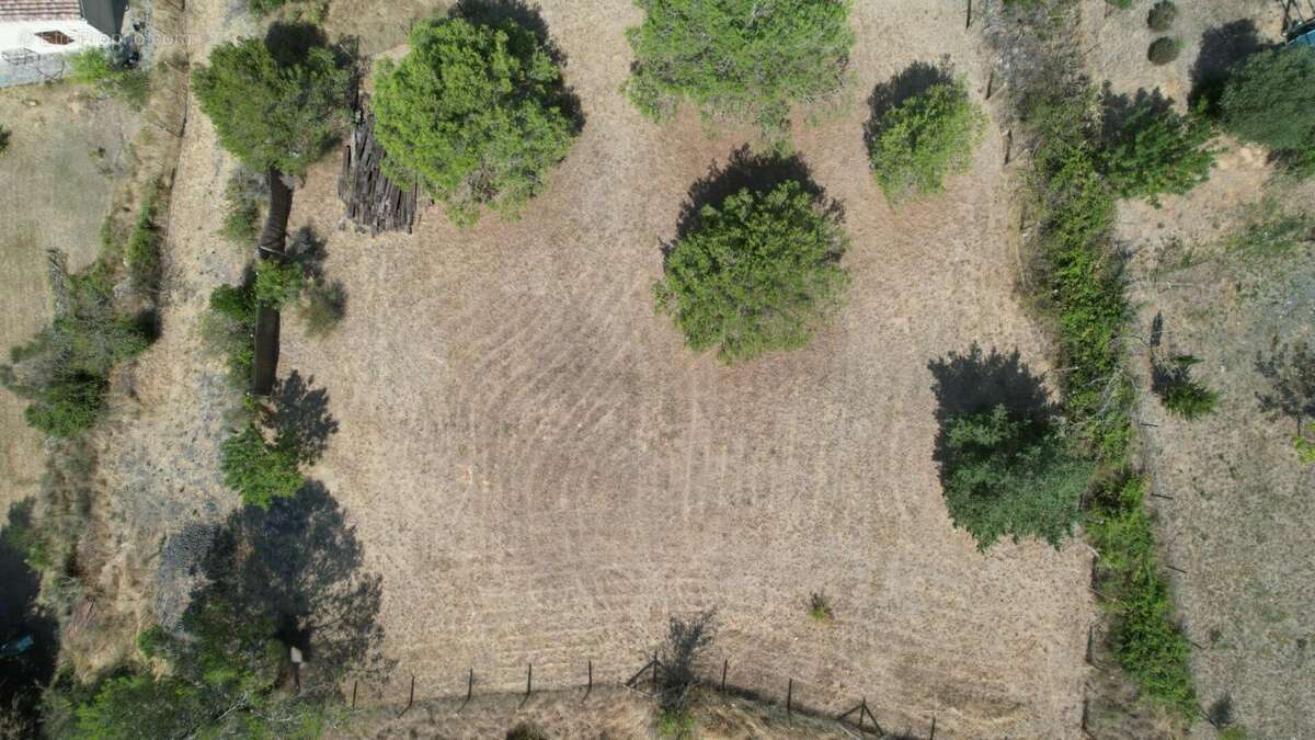 Terrain à VILLEFLOURE