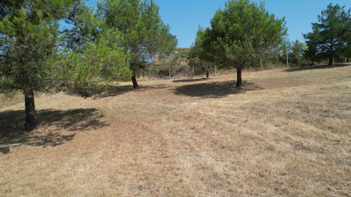 Terrain à VILLEFLOURE