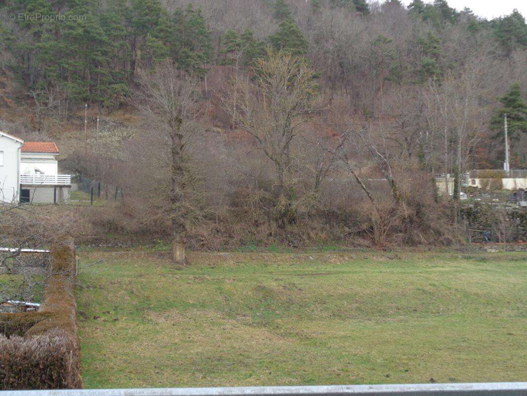 Terrain à SANSSAC-L&#039;EGLISE