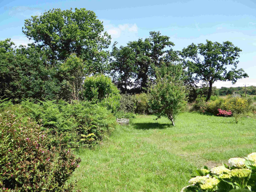 Maison à MOELAN-SUR-MER