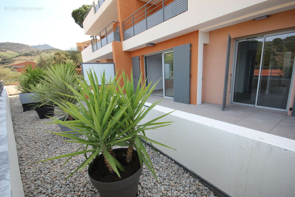 Appartement à COLLIOURE