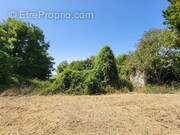 Terrain à SAINT-JEAN-D&#039;ANGELY