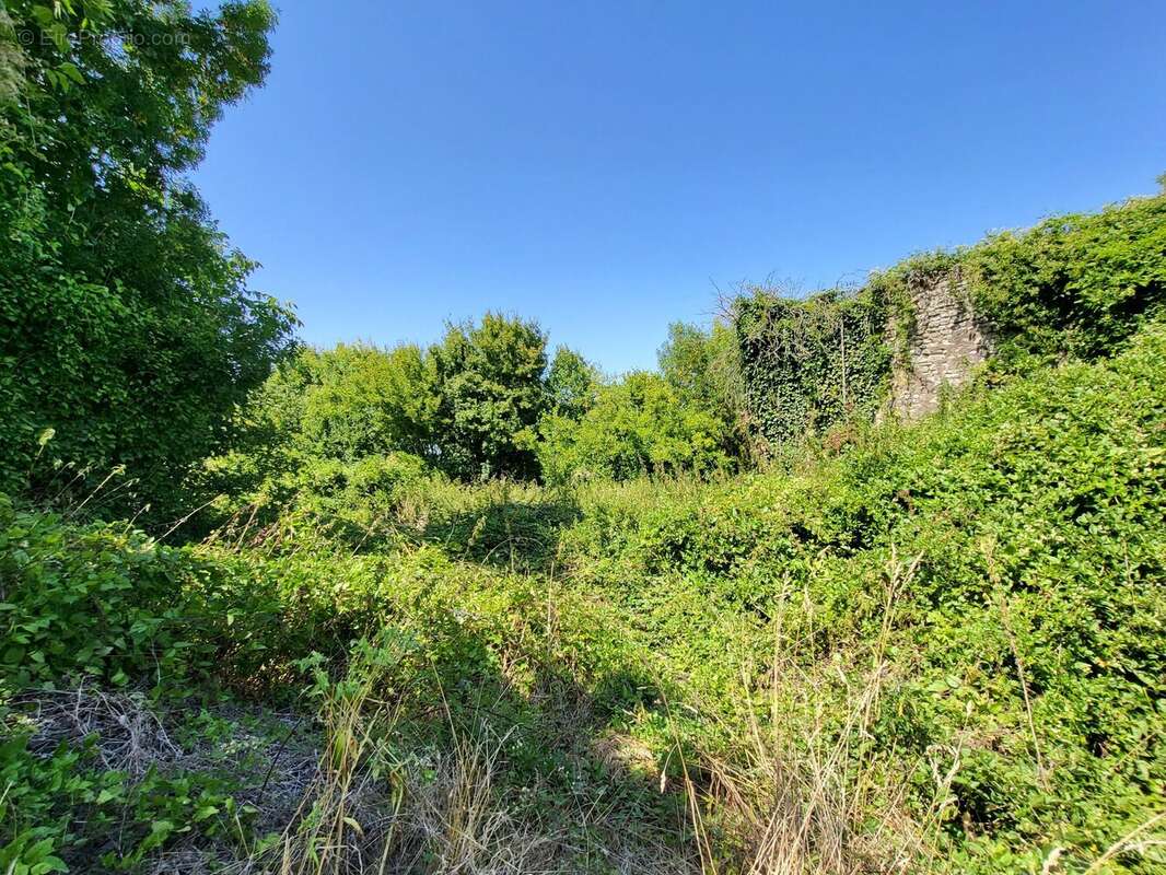 Terrain à SAINT-JEAN-D&#039;ANGELY