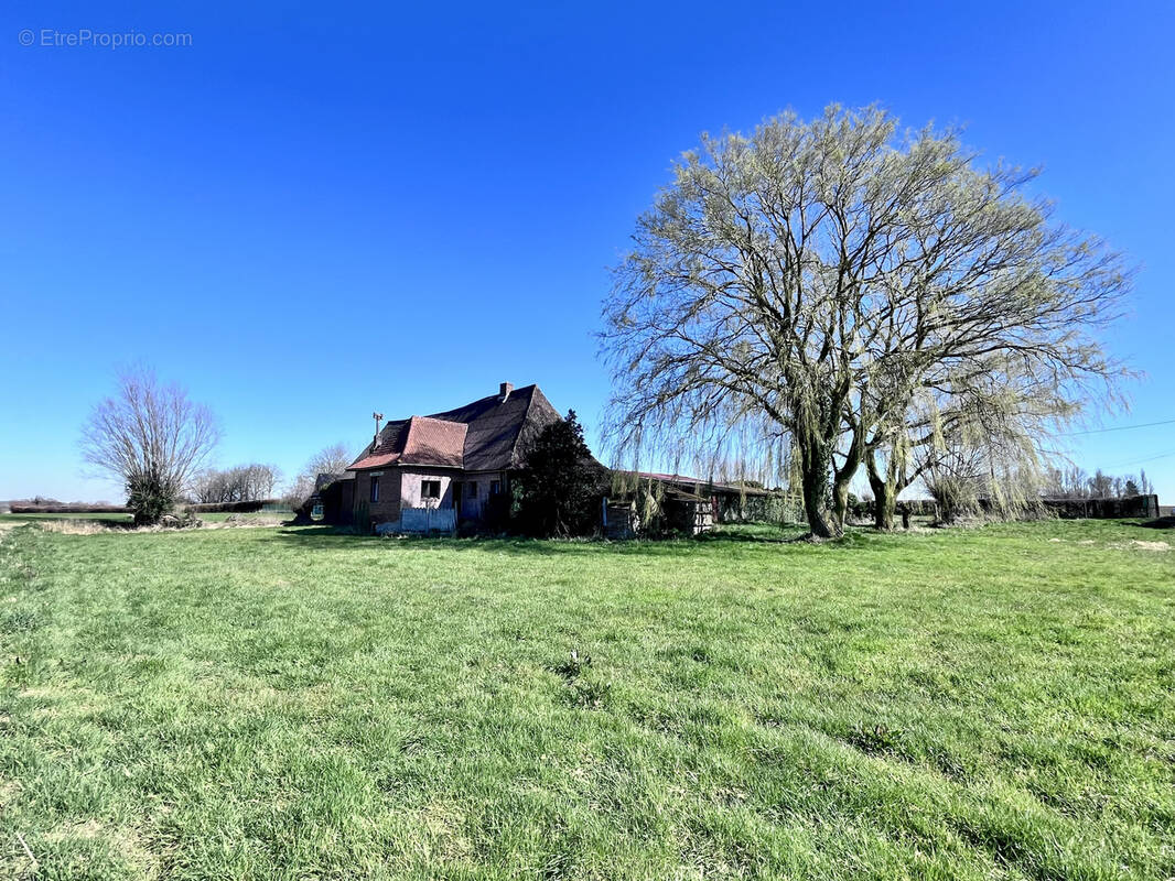 Maison à STEENVOORDE