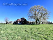 Maison à STEENVOORDE