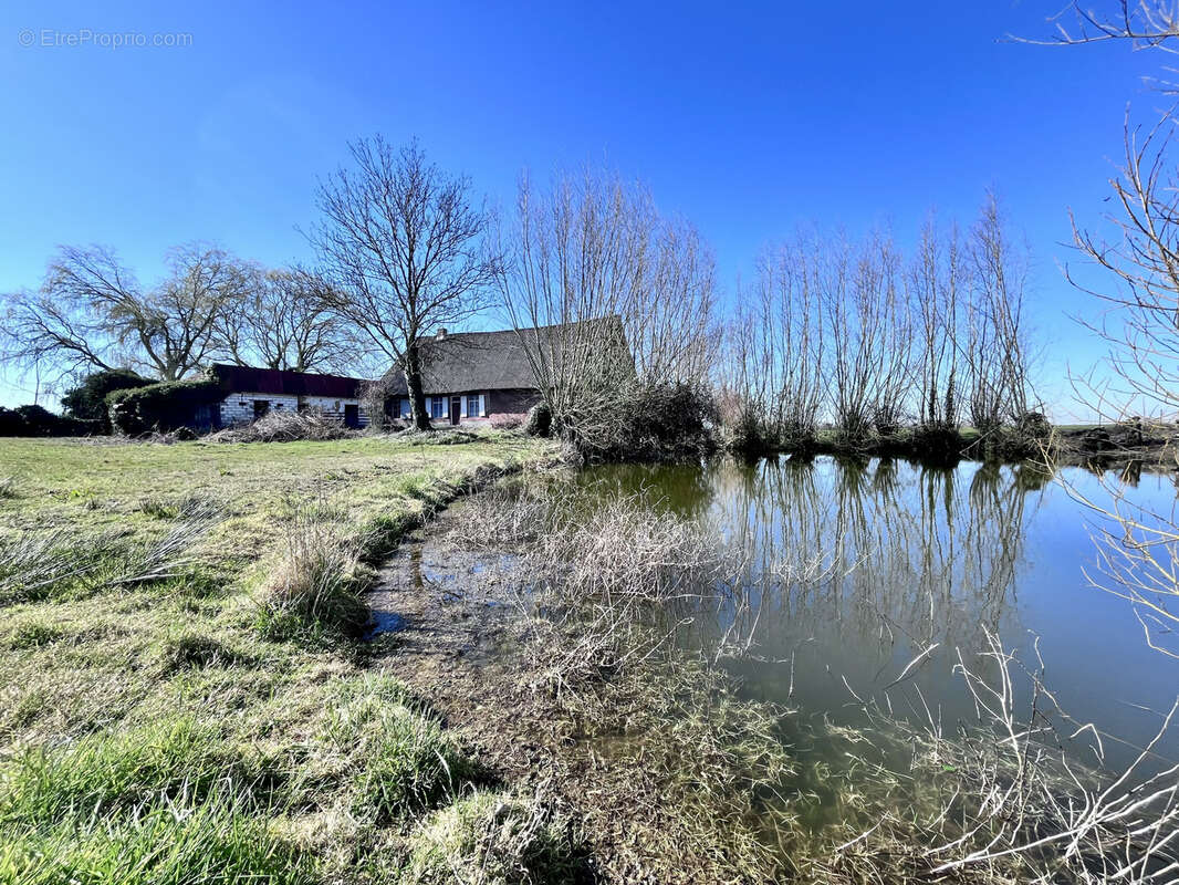 Maison à STEENVOORDE
