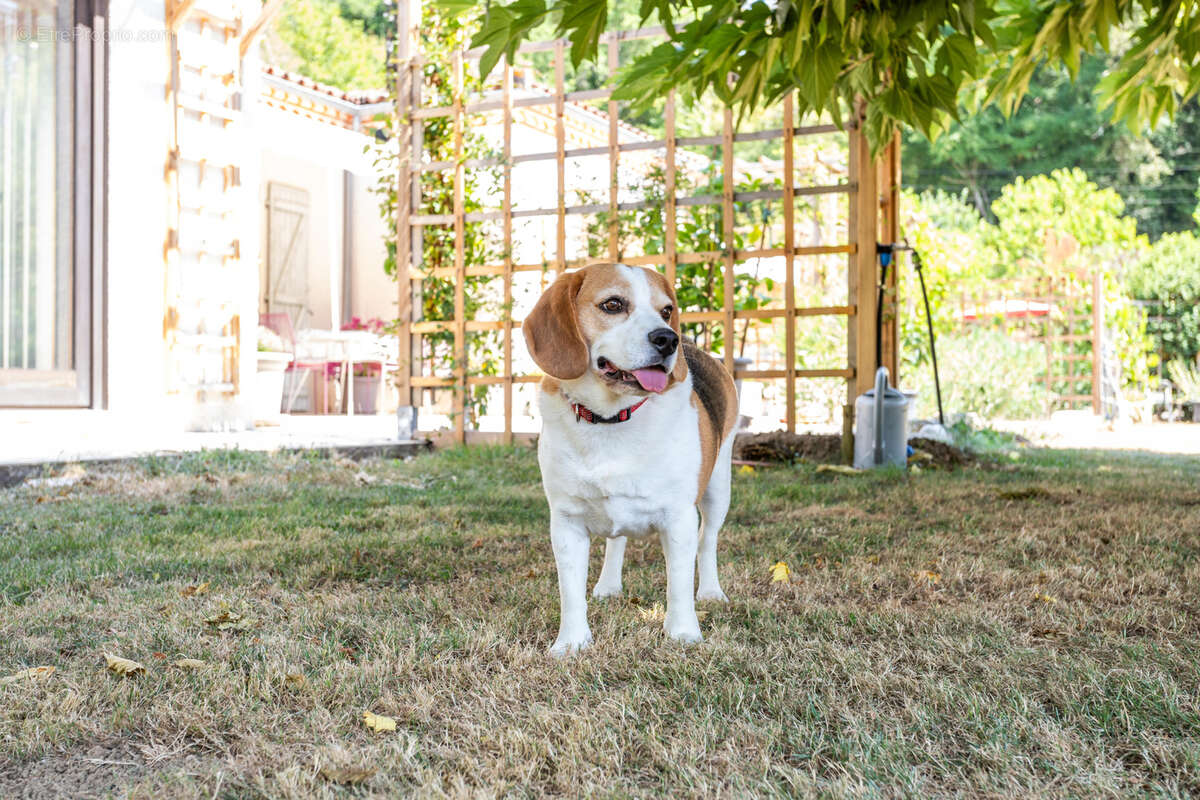 Maison à SAINT-MAURIN