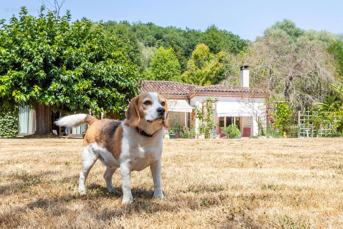 Maison à SAINT-MAURIN