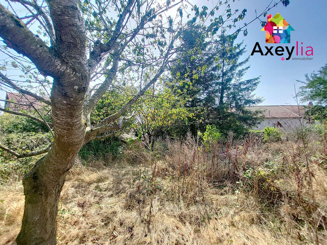 Maison à SAINT-HILAIRE-SOUS-CHARLIEU