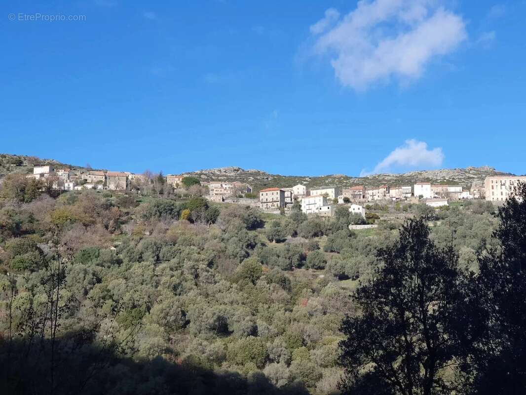 Maison à SANTO-PIETRO-DI-TENDA