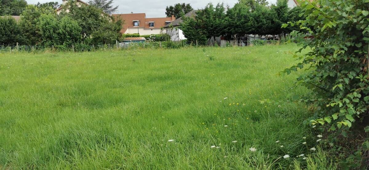 Terrain à COGNAT-LYONNE