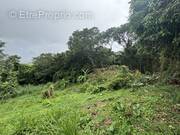 Terrain à SAINT-ESPRIT