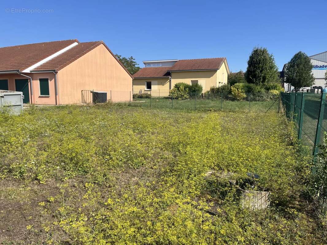 Commerce à SAINTS-GEOSMES