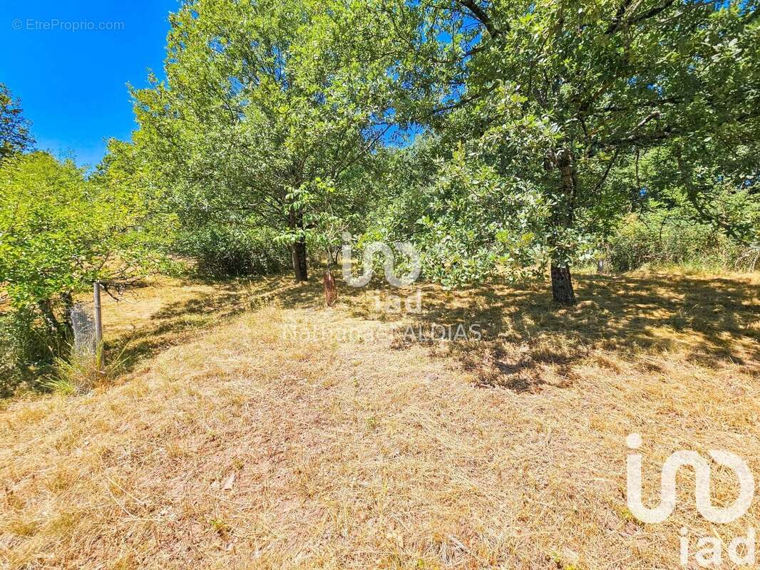 Photo 5 - Maison à SAINT-JUERY