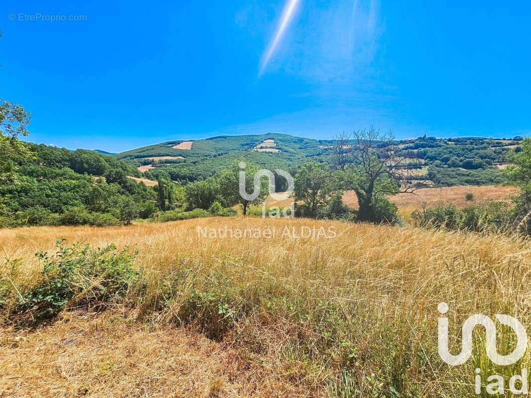 Photo 8 - Maison à SAINT-JUERY