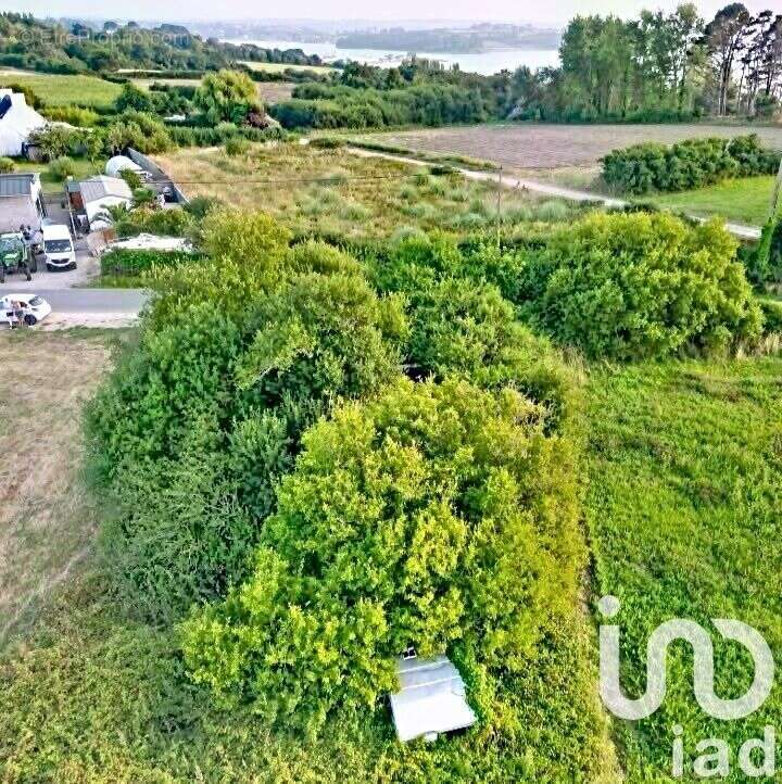 Photo 7 - Terrain à PLOUGASNOU