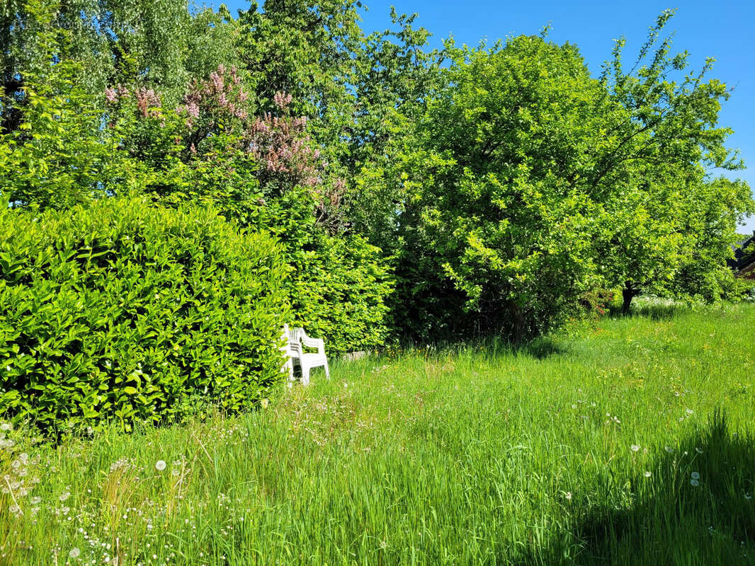 Maison à AVESNELLES
