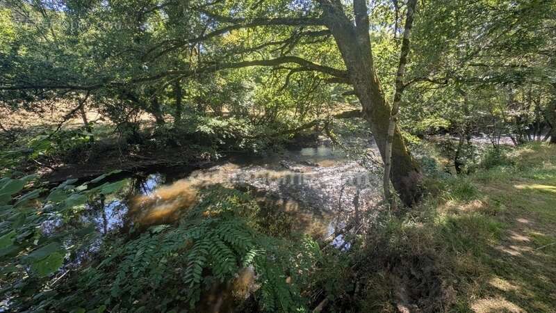 Maison à SAVIGNAC-LEDRIER