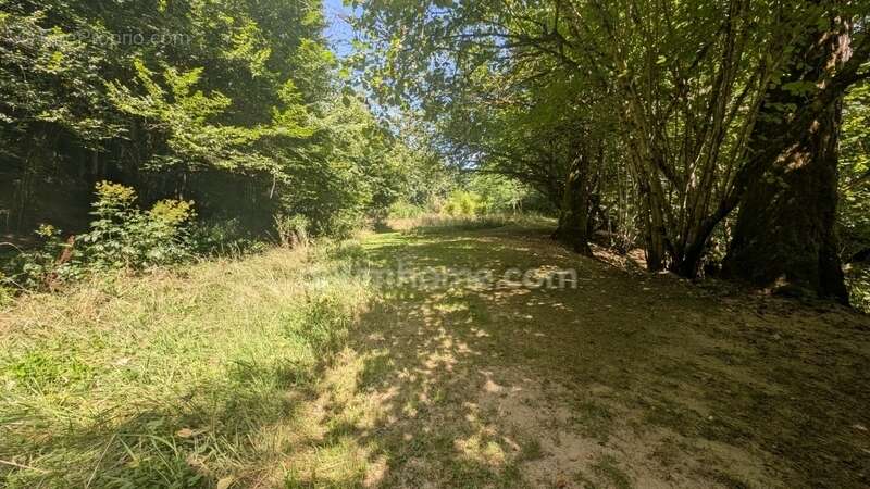 Maison à SAVIGNAC-LEDRIER