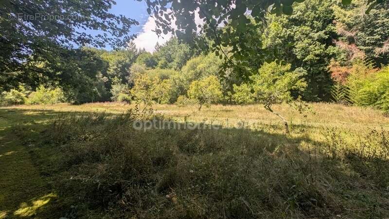 Maison à SAVIGNAC-LEDRIER