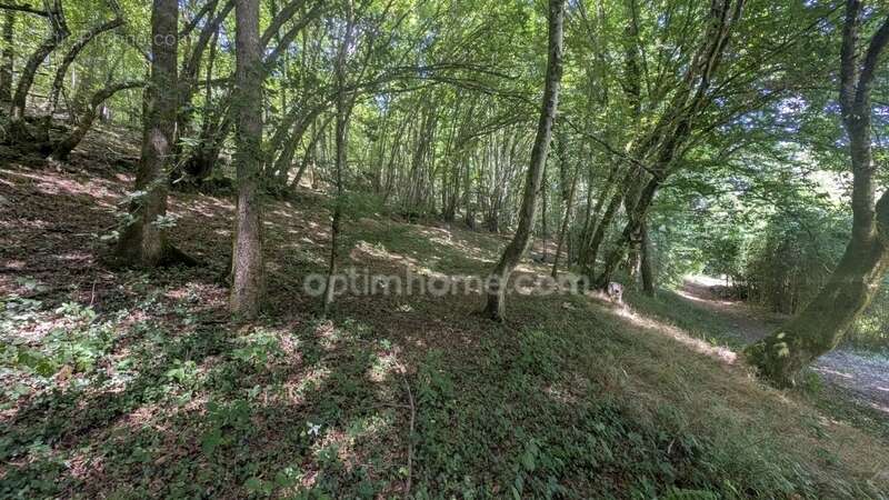 Maison à SAVIGNAC-LEDRIER