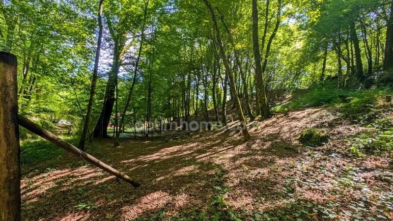 Maison à SAVIGNAC-LEDRIER