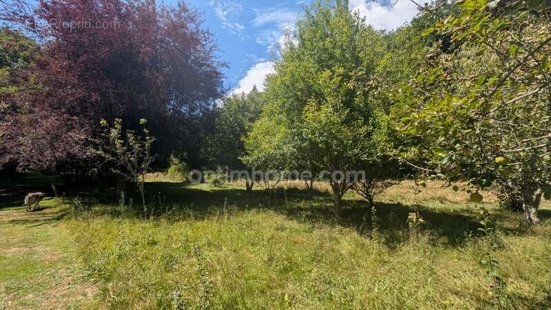 Maison à SAVIGNAC-LEDRIER