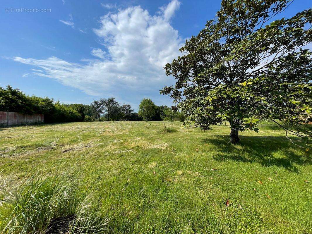 Maison à SAINT-MARTIN-D&#039;ABBAT