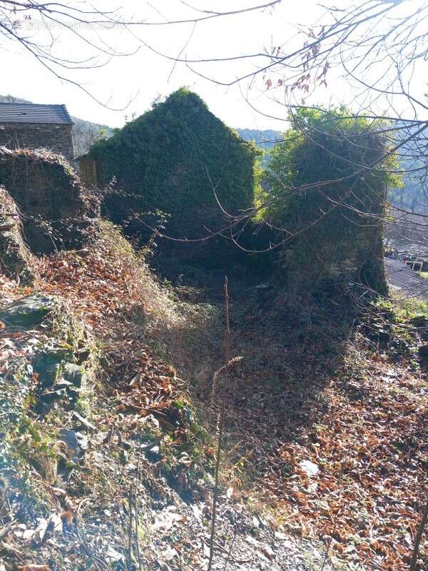 Terrain à SAINT-ETIENNE-VALLEE-FRANCAISE