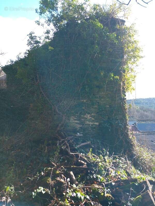 Terrain à SAINT-ETIENNE-VALLEE-FRANCAISE