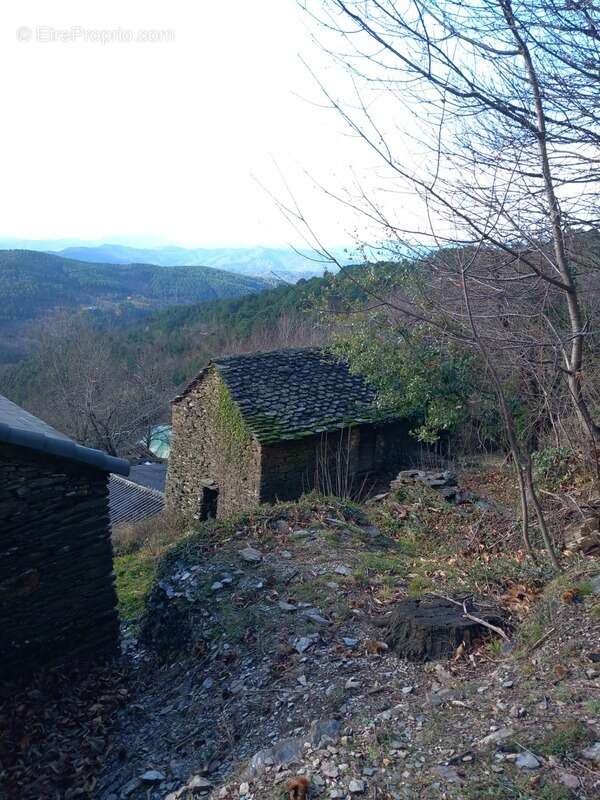 Terrain à SAINT-ETIENNE-VALLEE-FRANCAISE