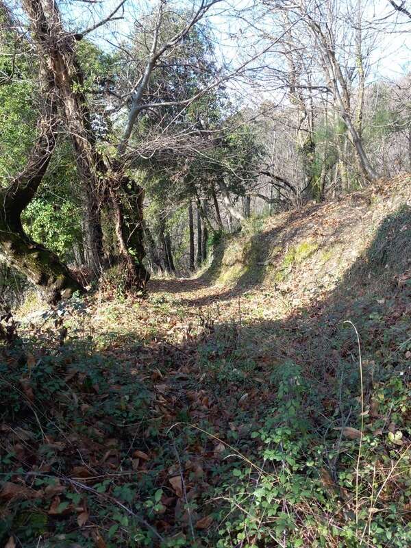 Terrain à SAINT-ETIENNE-VALLEE-FRANCAISE
